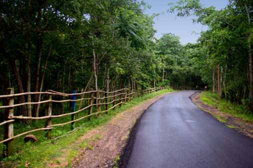 Rams Villa Maredumilli