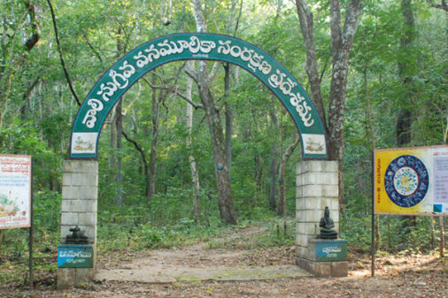 Maredumilli Hotel Booking