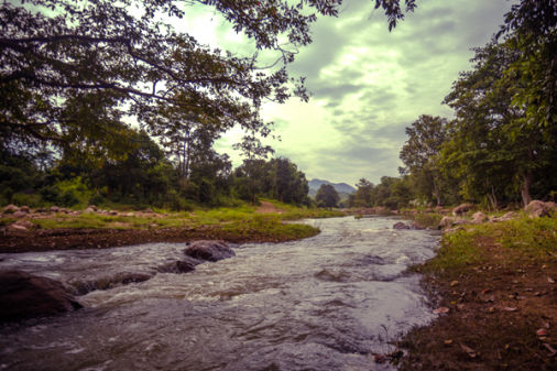 Maredumilli Hotel Booking