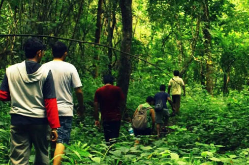 Maredumilli Hotel Booking