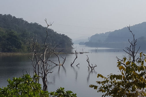 Resorts in Maredumilli with Private Pools