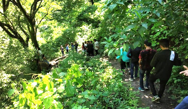 Maredumilli Trekking